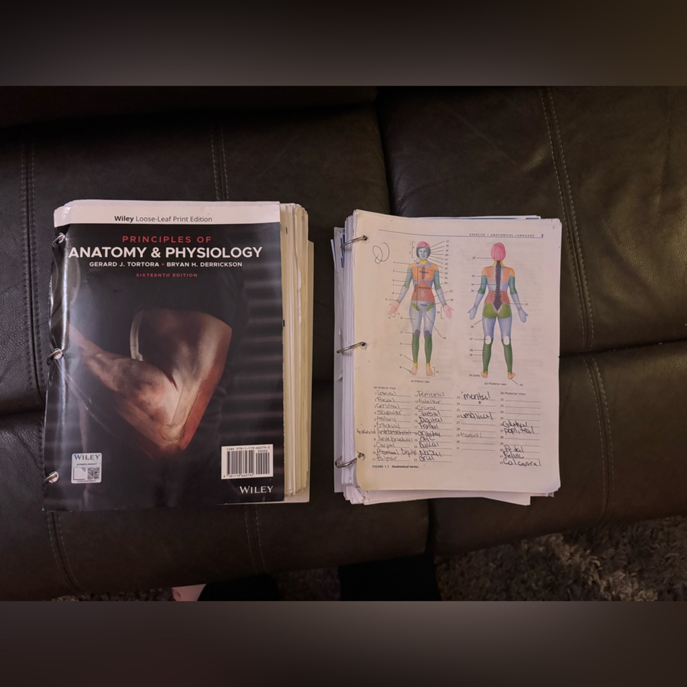Principles of Anatomy & Physiology Textbook and Notes - Wiley Sixteenth Edition